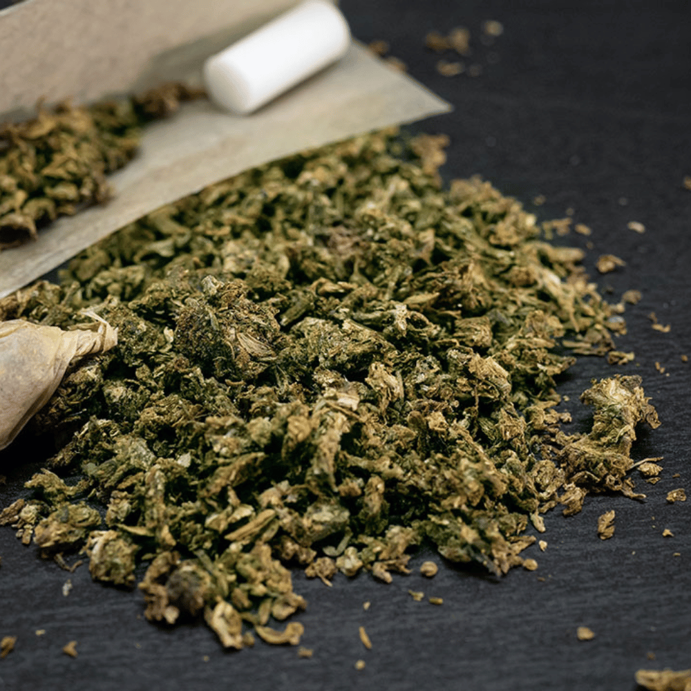 Cannabis Advocacy and Social Justice